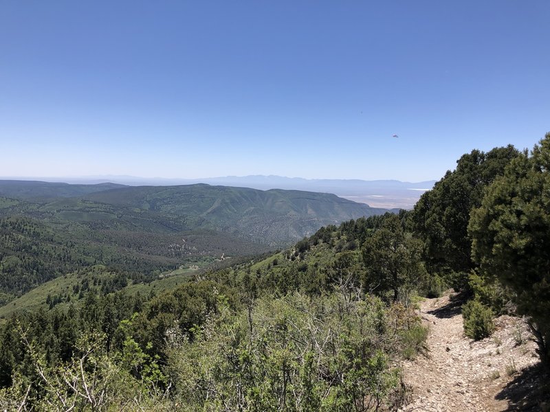 Alamo Peak Trail #109