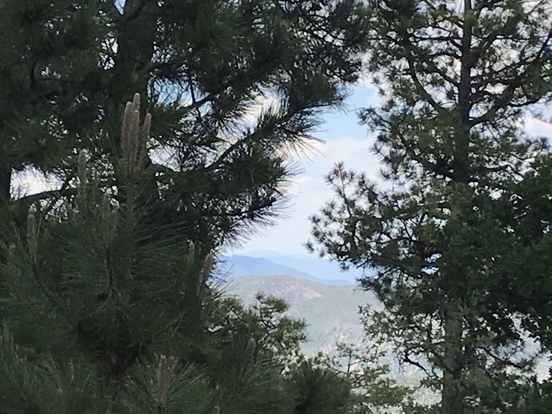 A view from the Stray Horse Canyon trailhead.