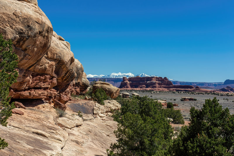 Squaw Butte and the snow covered La Sal Mountains not far from the Squaw Loop