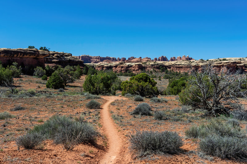 Walking towards the "needles" that gave this part of the park its name