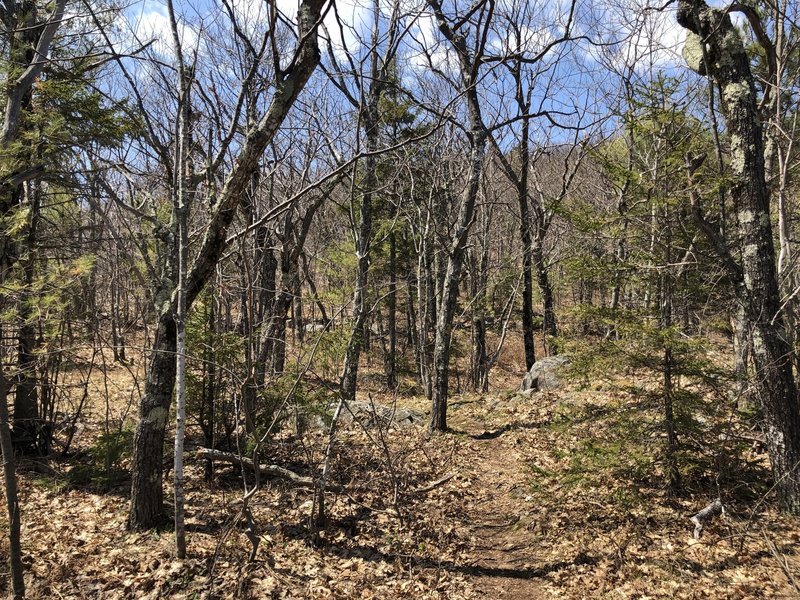 Vista Trail travels through some open areas and some wooded areas