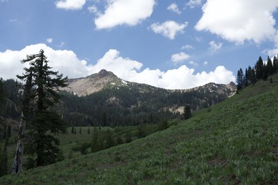Views of Mount Diller come into view as the trail skirts a mountain meadow.