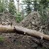 As you hike along the trail, evidence of the areas volcanic past can be seen along the trail.