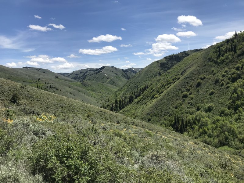 A pleasant view from the top of A-H Canyon