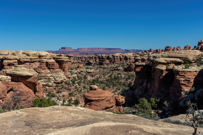 Junction Butte and Grand View Point framed by Elephant Canyon