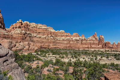 Needles north of Chesler Park