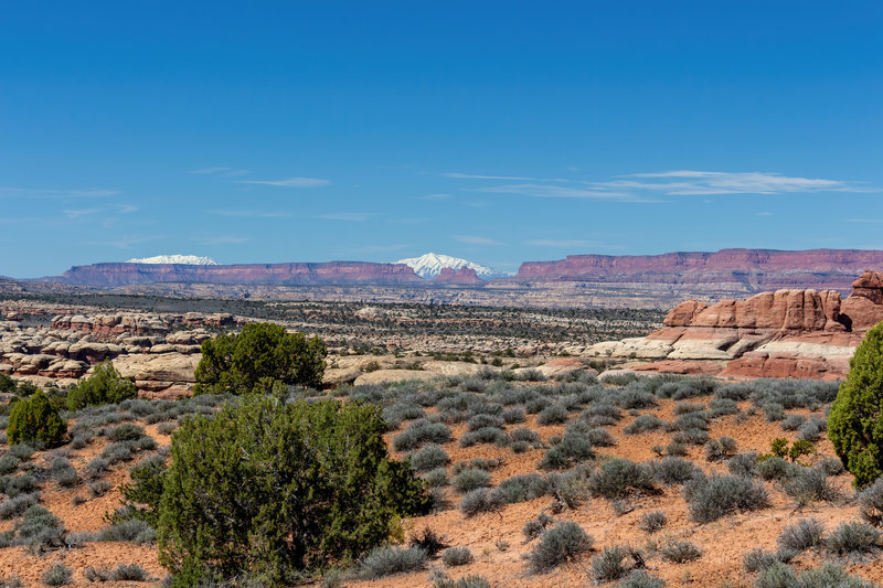 View across Chesler Park with a glimpse of the snow covered Henry Mountains in the far