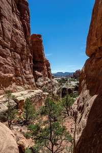 The needles look small from a far, but standing right at the base of them makes you realize how big they are.