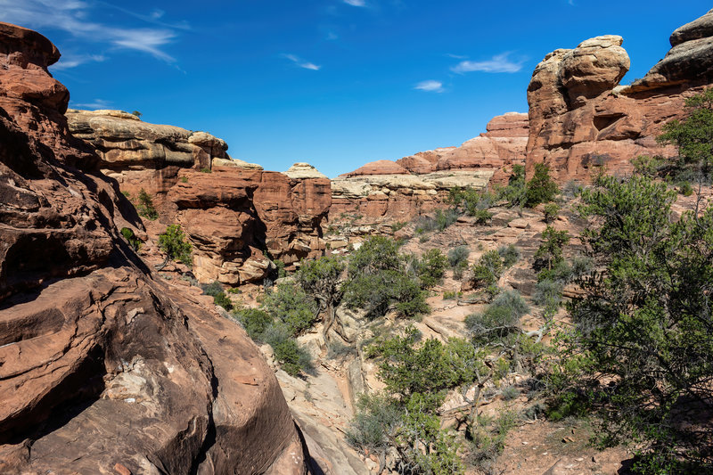 Descent towards Elephant Canyon