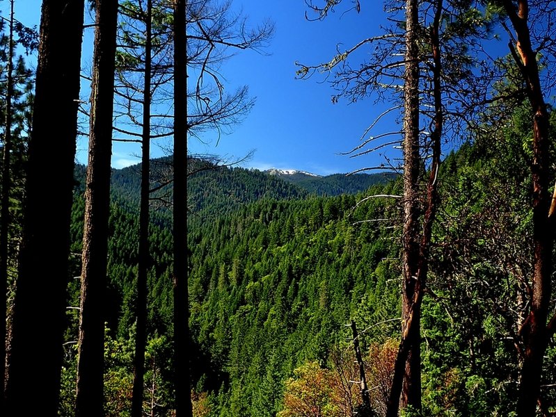 Mount Ashland from the upper end of the Lower Wonder Trail