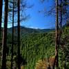 Mount Ashland from the upper end of the Lower Wonder Trail