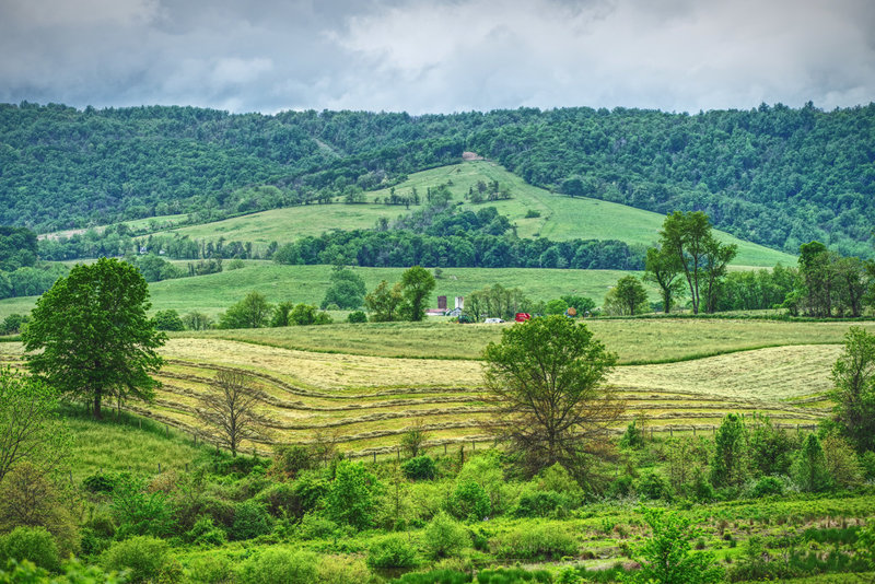 Looking across the valley along the Rolling Meadows Trail