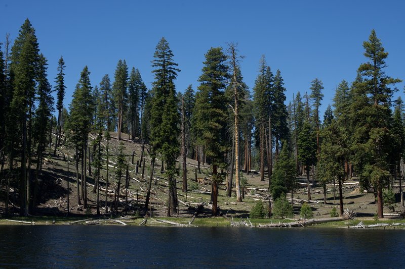 Bathtub Lake sits on the left hand side of the trail.  This area is peaceful compared to Butte Lake where lunch can be enjoyed by yourself.