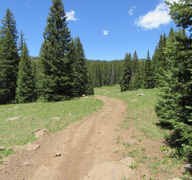 Crossing an open meadow.