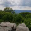 View from Kelly's Knob