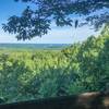 Overlook alongside Lucky Stone Loop Trail, with a view of Lake Erie on the horizon.