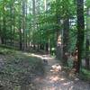 Typical section of the Copperhead Run Trail.