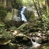 Largest of several waterfalls along trail.