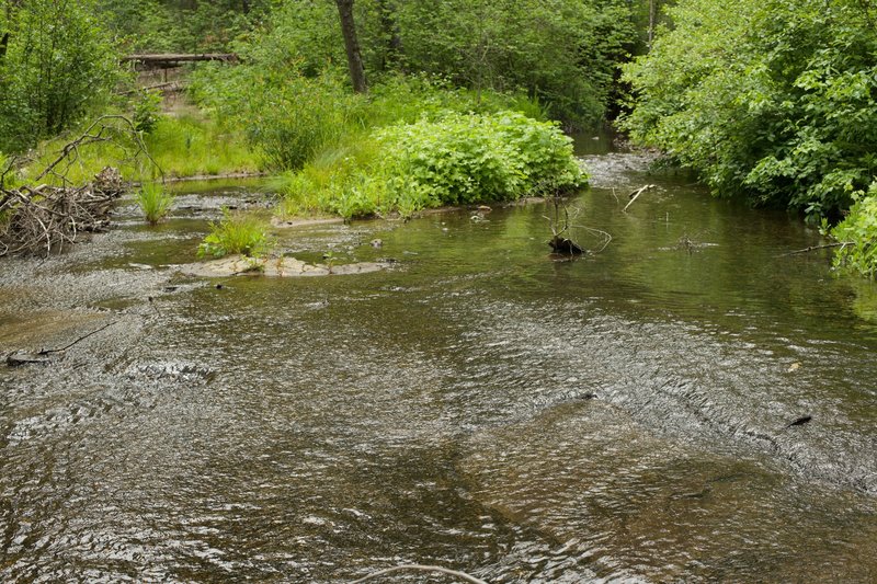 The creek floors the road in the spring.   The only way across is to walk through the water, which isn't deep but your shoes will get wet!