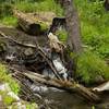 Nature always finds a way.  You can see how the water finds its way downstream despite obstacles being in the way.   Now the creek flows over the trail in order to make its way downhill.