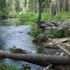 The South Fork of the Tuolumne River meanders alongside the trail.  Popular with fishermen, there are several good swimming holes along the trail that allow you to cool off.