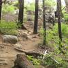 The trail breaks off to the left and climbs up the hillside so that you can get closer to the falls and have a better chance at getting to the top of the falls.