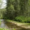 The Carlon Picnic Area cutoff is little more than a game trail used by fishermen as they look for great spots along the South Fork of the Tuolumne River, which meanders along the trail and you have to figure out how to cross as there is no bridge.