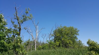 from the south side, a beautiful day!