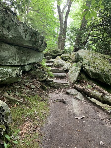 Elevated terrain with obstacles