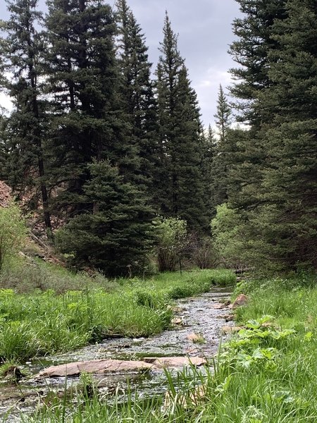 Along the creek