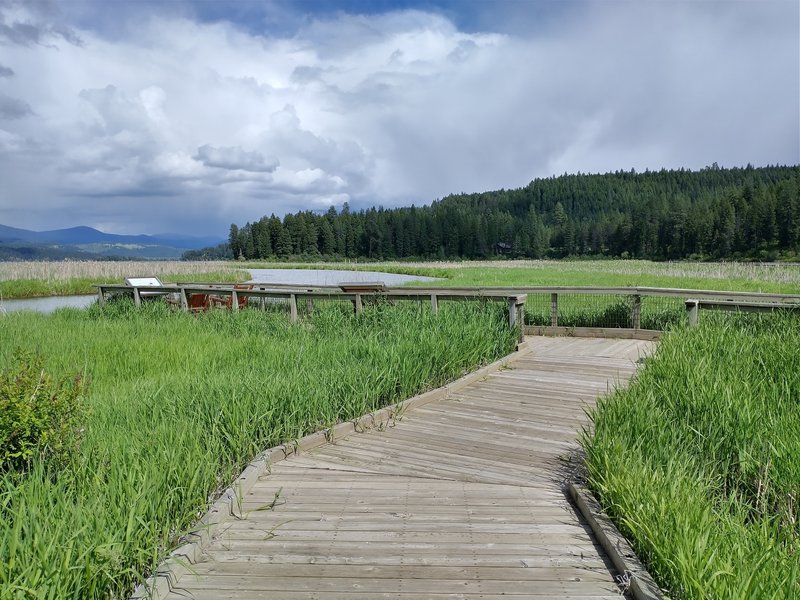 Plummer Creek Boardwalk