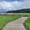 Plummer Creek Boardwalk