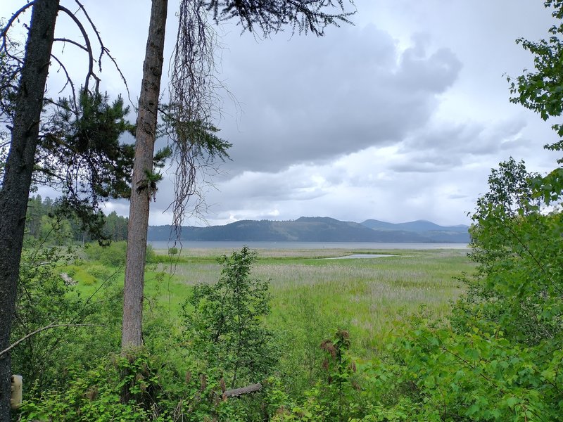 Plummer Creek Marsh Wildlife Area