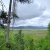 Plummer Creek Marsh Wildlife Area