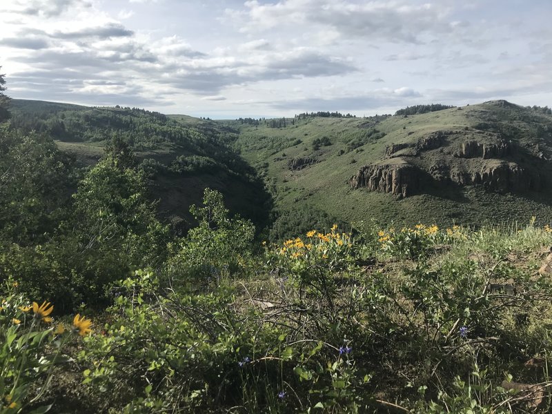 One of the several canyons you cross as you make your way along the Rim View Trail