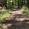 Soft trail within interior of park