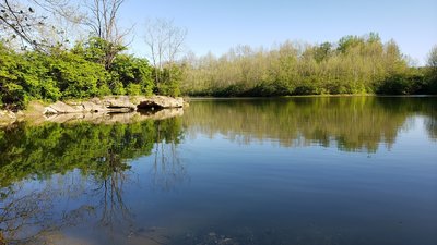 Mounts Park small lake