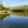 Mounts Park small lake