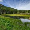 Small pond on the Wild River Trail.