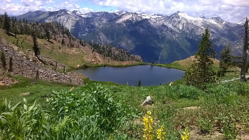 White Trinities from Diamond Lake.