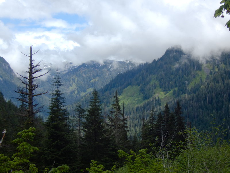 Looking behind from the meadow after the forest of the Marten Lake trail.