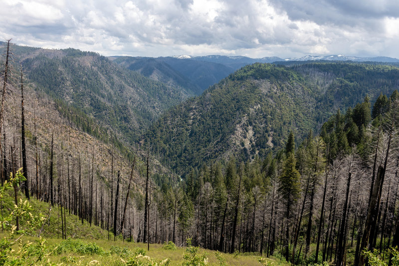 View from Deadwood Ridge as you descent through a burnt area to the North Fork of Middle Fork American River.