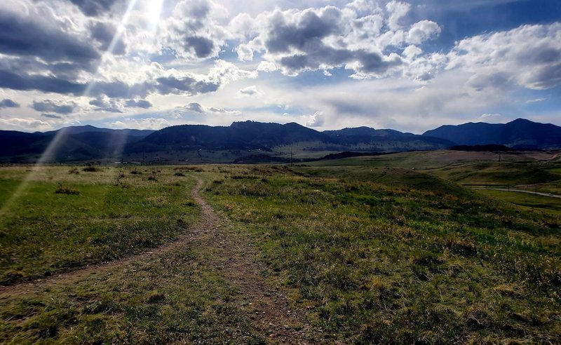 Looking west from the top of Pattridge Open Space park.