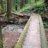 River crossing in the forest.