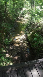 Wood bridges over the shaded creek beds.