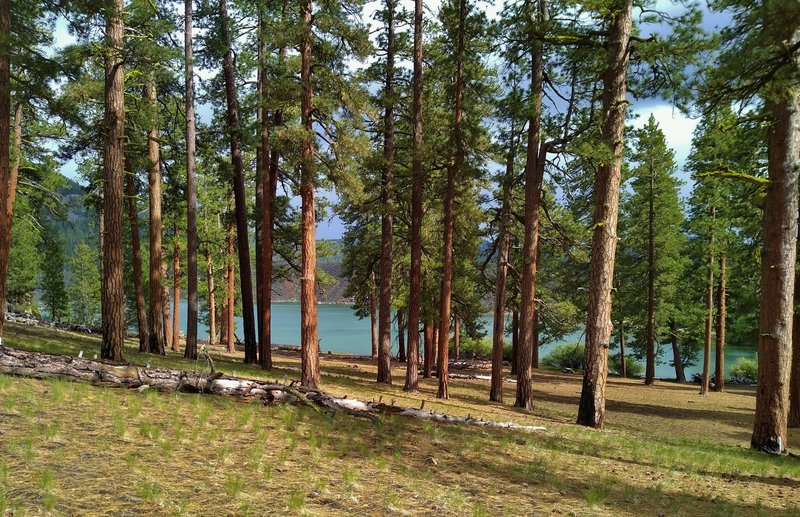 Butte Lake is very pretty as Bathtub Trail starts up a hill.