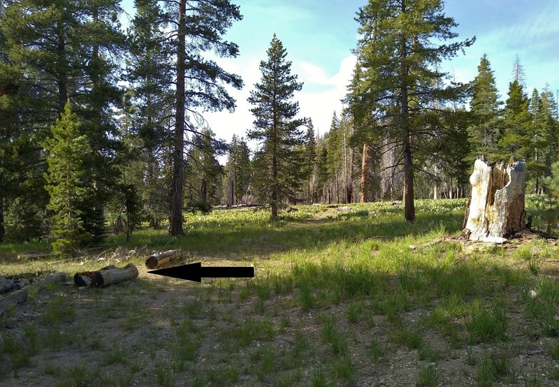 The unmarked southern terminus of Horse Corral Trail is between the two cut logs on the left. This is the view when approaching from the south on Nobles Emigrant Trail (East). Turn left through these two logs to rxh Horse Corral Trail.