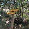 On the way to the Mont Aigoual - the signs.