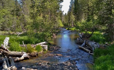 Grassy Creek, just south of where it flows into Snag Lake, looking north at the Juniper Lake to Snag Lake Trail's creek crossing.