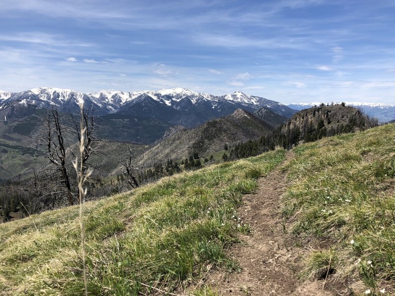 Descending off the ridge, into E. Dam Creek Trail.